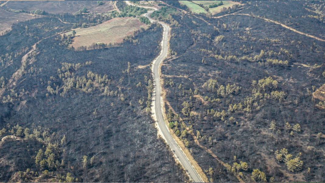 Sakarya'da başlayan yangın kontrolden çıktı: Bilecik'in ormanları siyaha büründü 6